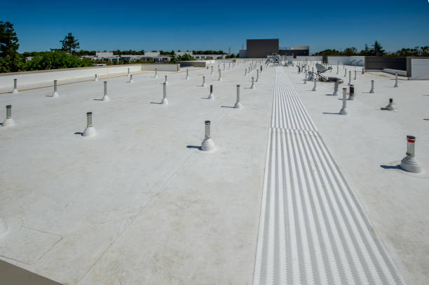 Best Roof Moss and Algae Removal  in Liberty, TX